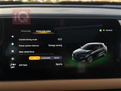 جي أي سي GS3 إمزوم